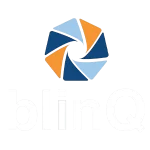 LuddigWeb - blinQ AS logo
