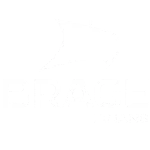 LuddigWeb - Brage finans logo